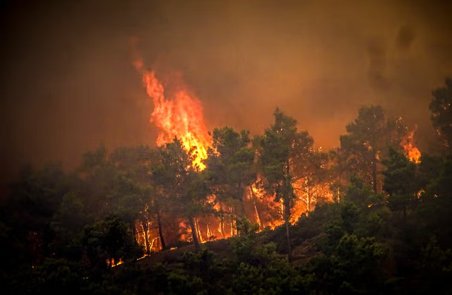 Greece_Wildfires_04842